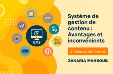 Les avantages et inconvénients des CMS modernes (WordPress, Webflow, Shopify…) : Quelle plateforme choisir ?